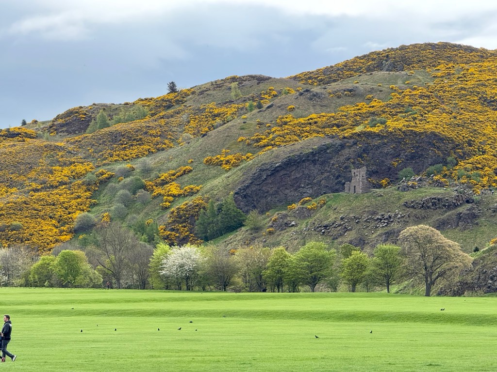 A park showing a hill