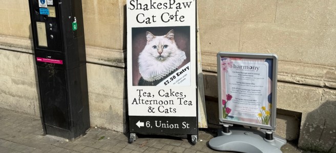 Sign featuring a Shakespeare themed cat cafe